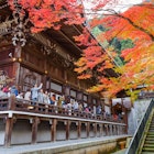 Kyoto, Japan - November 22 2015: Eikando (View of Eternity Hall) Zenrinji (Temple of Forest of Zen), founded in 853, houses a famous Amida statue which a Japanese important Cultural Property
612760626
Kinki Region, Buddha, Shinto, Buddhism, Scenics, Journey, Spirituality, Famous Place, Architecture, Nature, Outdoors, Japan, Asia, Tree, Autumn, Season, Shrine, momiji, Eikando